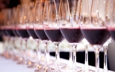 Degustação para Iniciantes