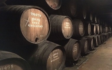 Fortificados, vinho do Porto.